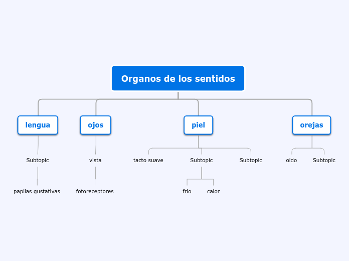 Organos de los sentidos - Mapa Mental