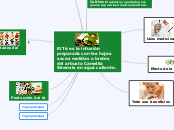 El Té es la infusión preparada con las ...- Mapa Mental