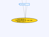 "EXPLORERS &amp; DISCOVERIES OF THE NEW WO...- Mind Map