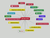 Meetod: Mõistekaart - Mind Map
