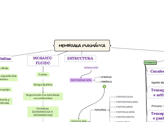 membrana plasmática - Mapa Mental