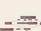 Licenciado en Ciencias de la Comunicaci...- Mapa Mental