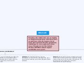 MEASLES - Mind Map