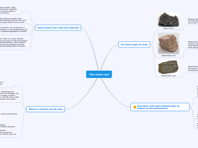 The main root - Mind Map