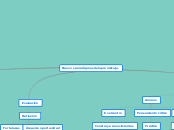 Nuevos paradigmas del aprendizaje. - Mapa Mental