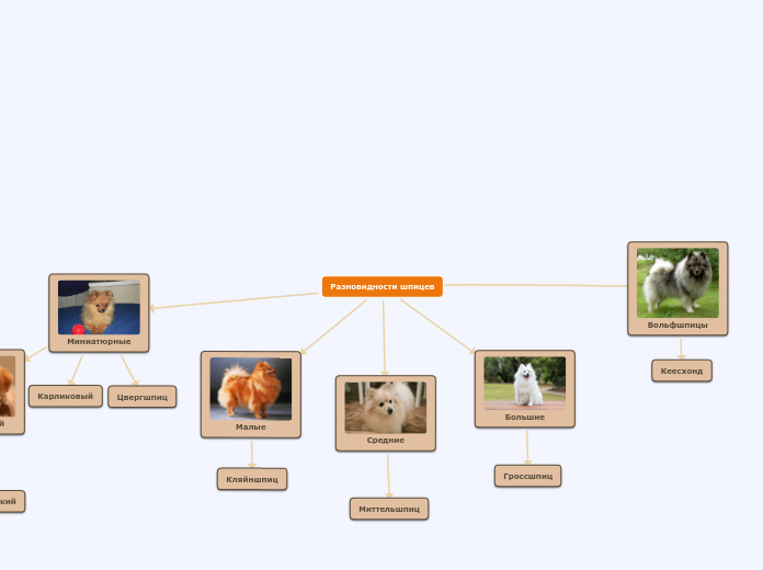Разновидности шпицев - Мыслительная карта