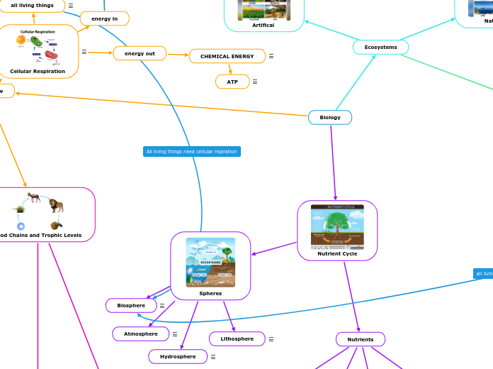 Biology - Mind Map