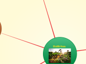 Hobbiton - Mind Map