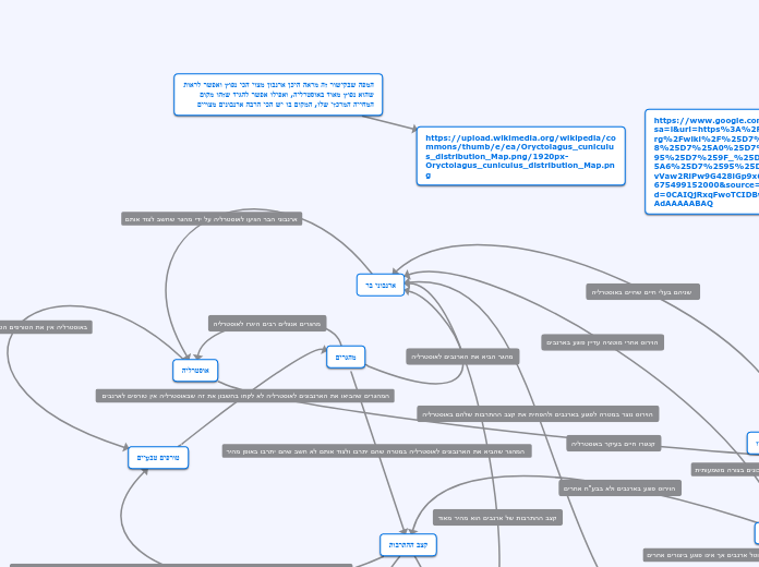 ארנבוני בר - Mind Map