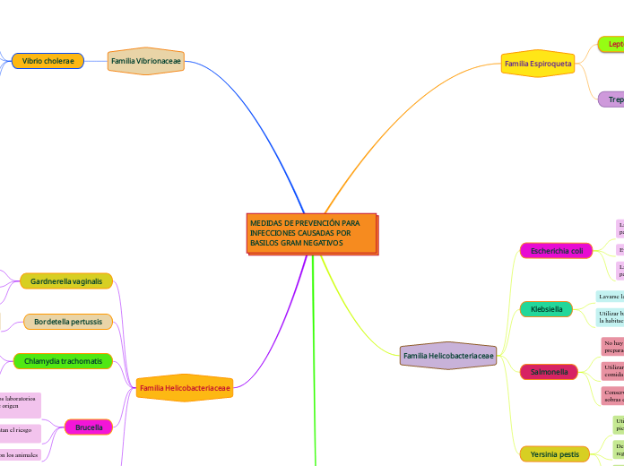 MEDIDAS DE PREVENCIÓN PARA INFECCIONES ...- Mapa Mental