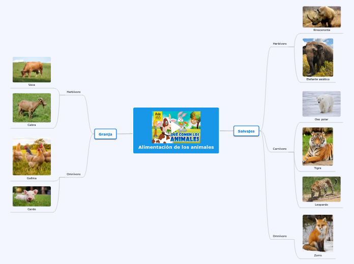 Alimentación de los animales - Mapa Mental