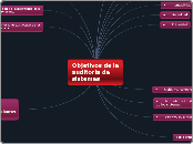 Objetivos de la auditoria de sistemas - Mapa Mental