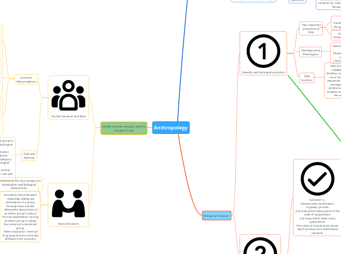 Anthropology - Mind Map