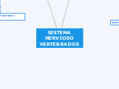 SN - Mapa Mental