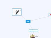 saffo - Mind Map
