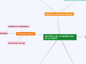 HISTORIA DE LA PROMOCIÓN DE LA SALUD - Mapa Mental
