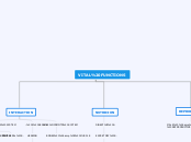 VITAL FUNCTIONS - Mind Map