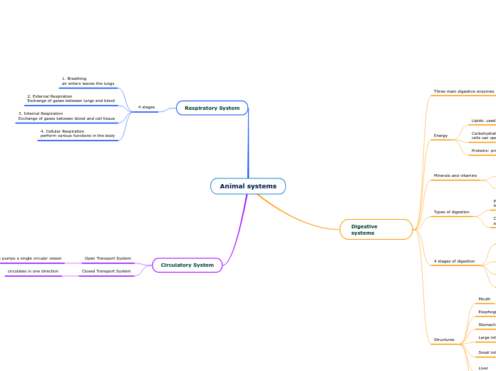 Animal systems - Mind Map