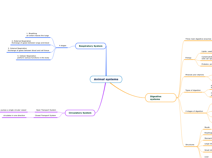 Animal systems - Mind Map Animal systems - Mind Map