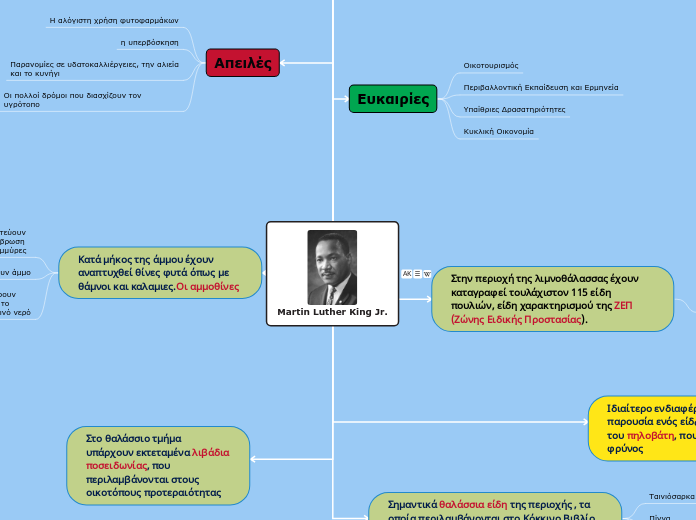 Martin Luther King Jr. - Mind Map