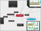 LAS PLANTAS - Mind Map