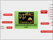 proceso productivo del vino - Mapa Mental