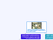 המים בישראל - Mind Map