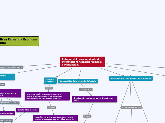 Enfoque del procesamiento de informació...- Mapa Mental