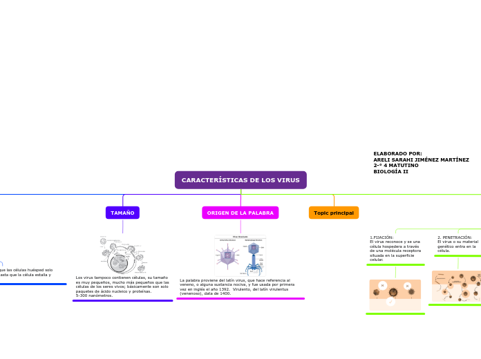 CARACTERÍSTICAS DE LOS VIRUS - Mapa Mental