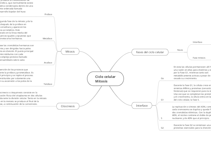 Ciclo celular
Mitosis - Mapa Mental
