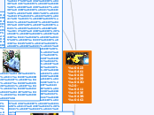 Вид спорта - Мыслительная карта
