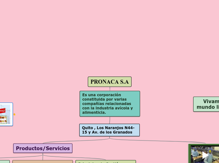 PRONACA S.A - Mapa Mental