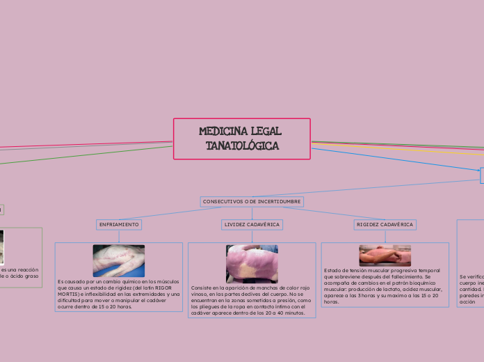 MEDICINA LEGAL TANATOL&Oacute;GICA 