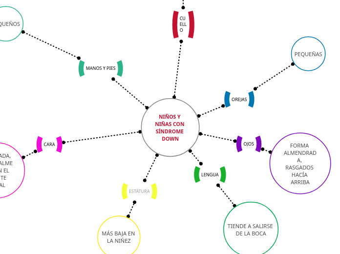 NIÑOS Y NIÑAS CON SÍNDROME DOWN - Mapa Mental