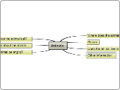 Animals - Mind Map
