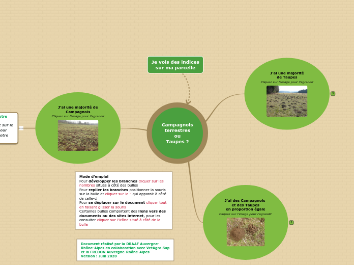 OAD_Campagnols - Carte Mentale