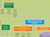DERECHOS HUMANOS DE PERSONAS SEXUALMENT...- Mapa Mental
