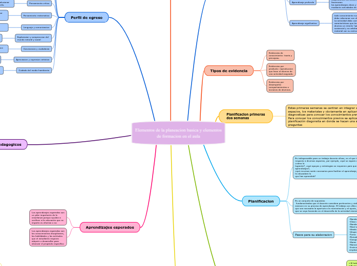 Elementos de la planeacion basica y elemen...- Mind Map