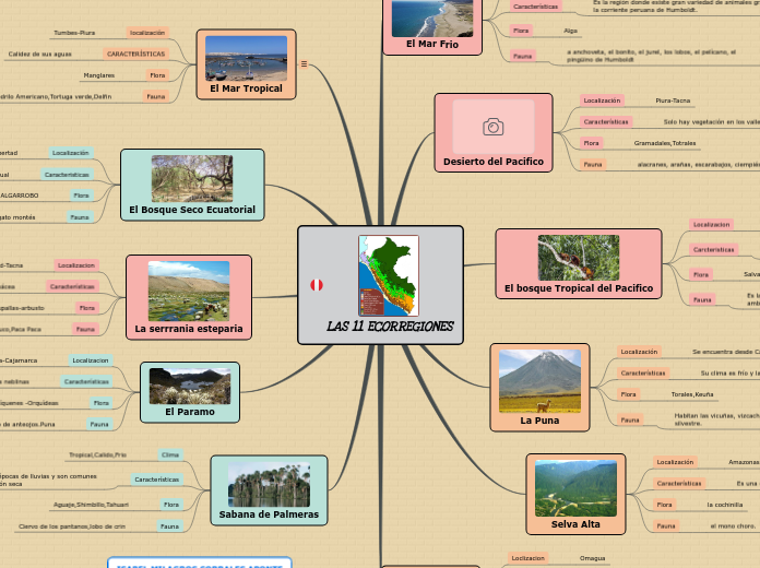 LAS 11 ECORREGIONES - Mapa Mental