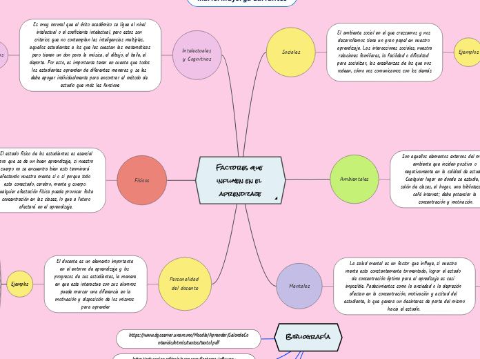 Factores que influyen en el aprendizaje. Mariel Mayorga