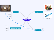 Travelling - Mind Map