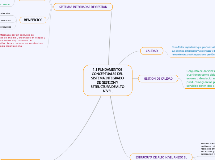 1.1 FUNDAMENTOS CONCEPTUALES DEL SISTEM...- Mapa Mental