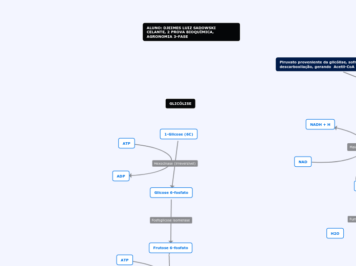 1-Glicose (6C) - Mapa Mental