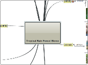 Tropical Rain Forest Biome - Mind Map
