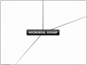 MICROBIAL GROUP - Mind Map
