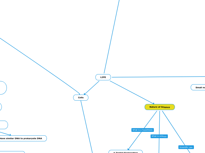 LIFE - Mind Map