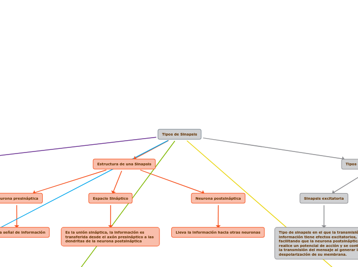 Tipos de Sinapsis