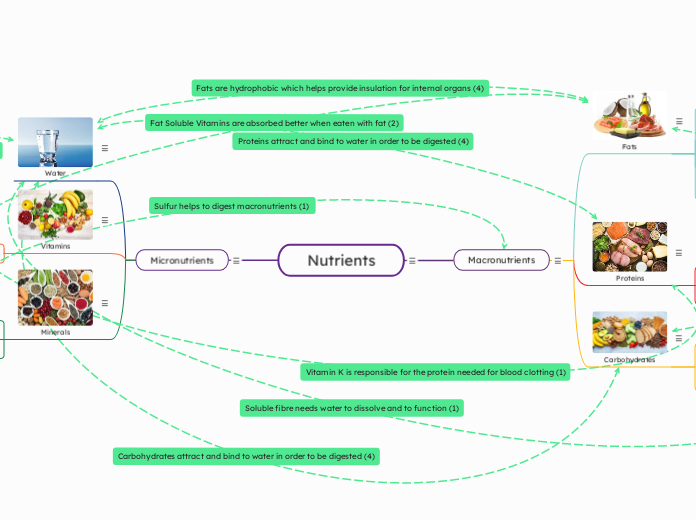 Nutrients - Mind Map