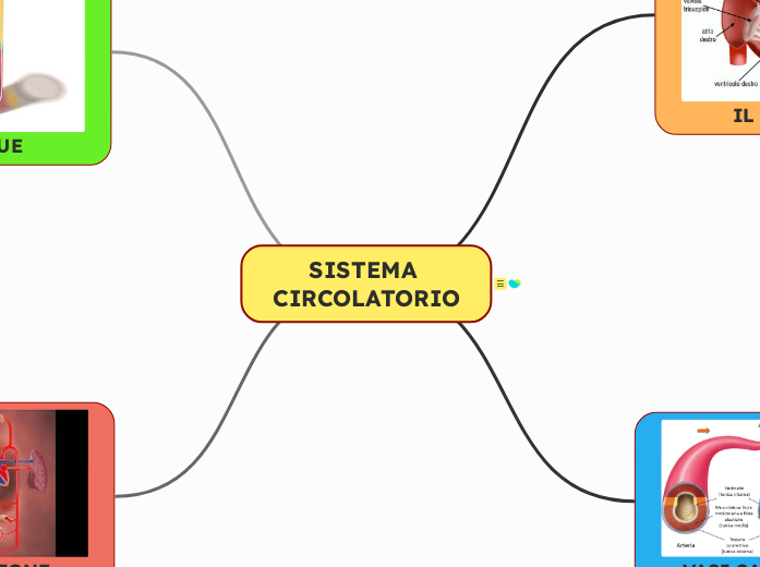 SISTEMA CIRCOLATORIO