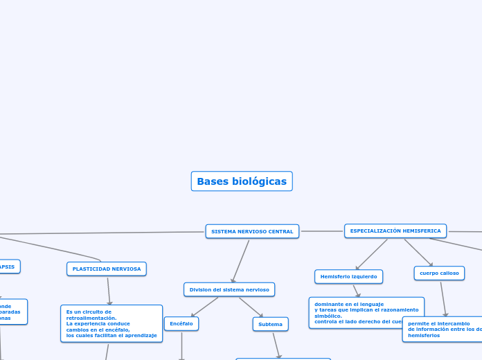 Bases biológicas - Mapa Mental